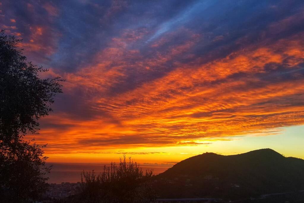 La Vivagna - Casa Vista Mare Tra Gli Ulivi Villa Leivi ภายนอก รูปภาพ